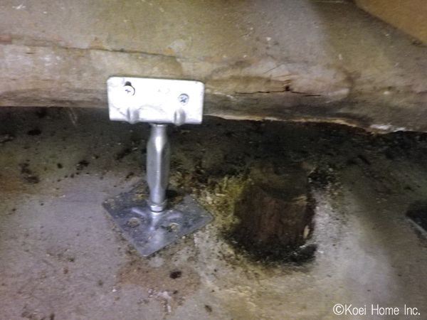 鋼製束を設置し既存の束を根元からカットしました。
土間を打った後に追加された束の脇にも補強として設置しています。
