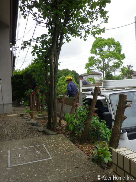エントランス側の樹木伐採の様子