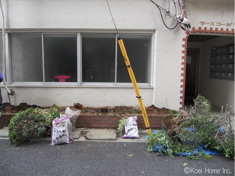 自動ドア上部にあったシャッターを撤去し、植栽を全て抜根して工事スタート